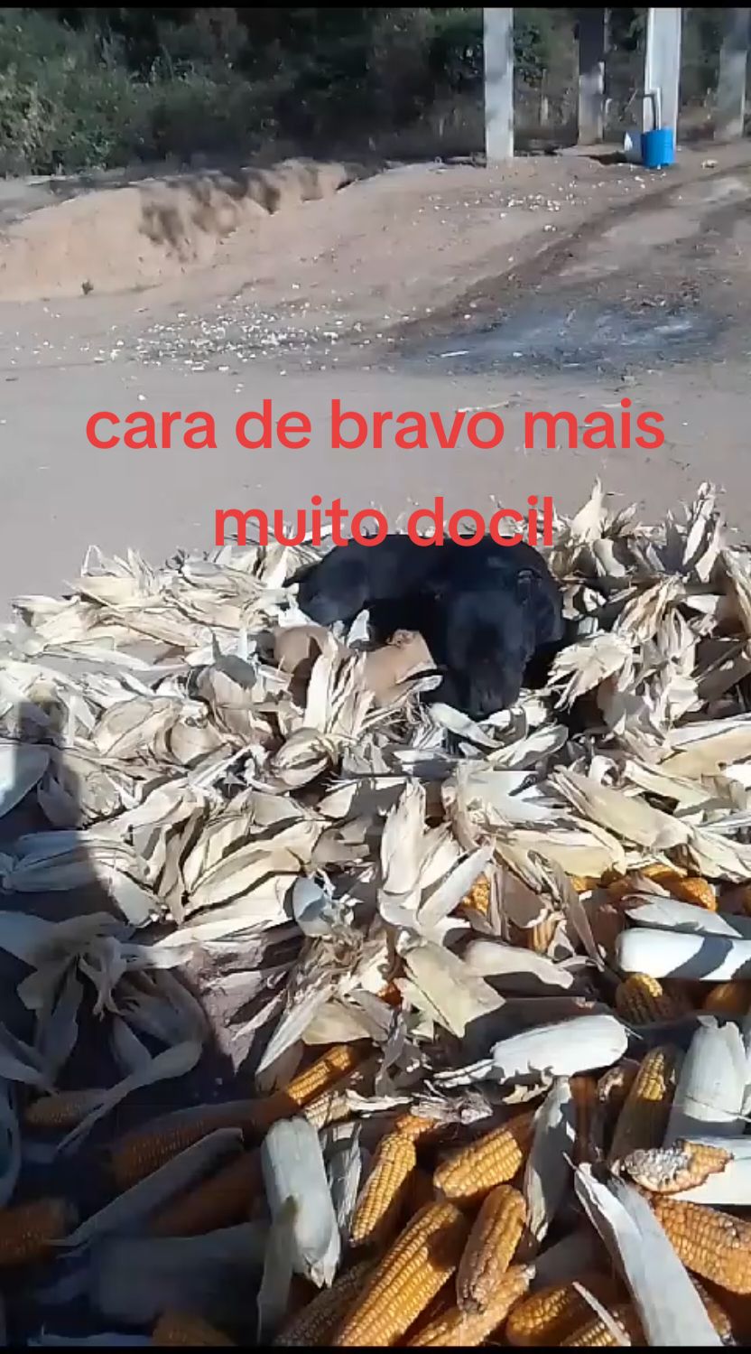 @Joana Morais