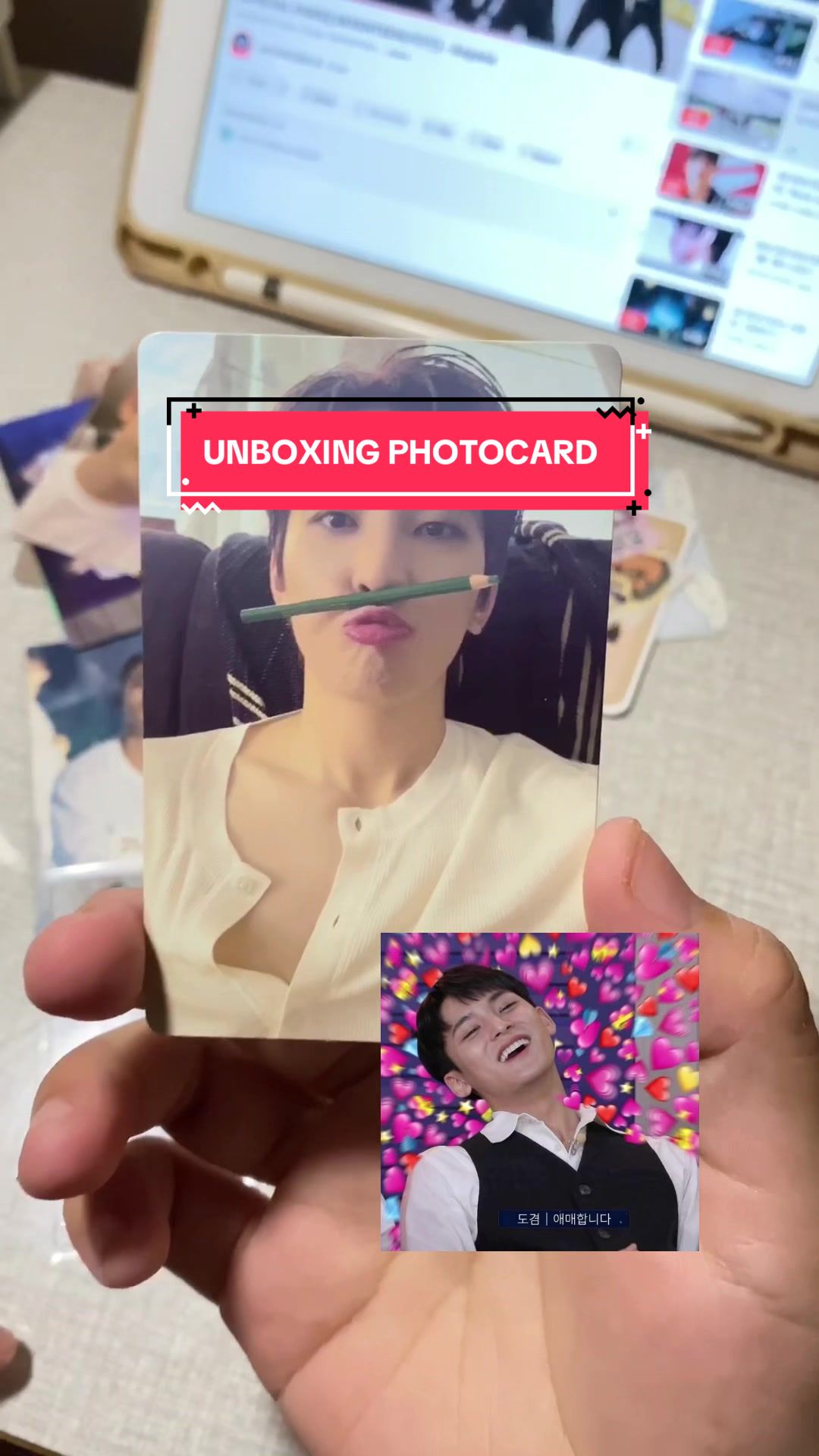 @svtpalette