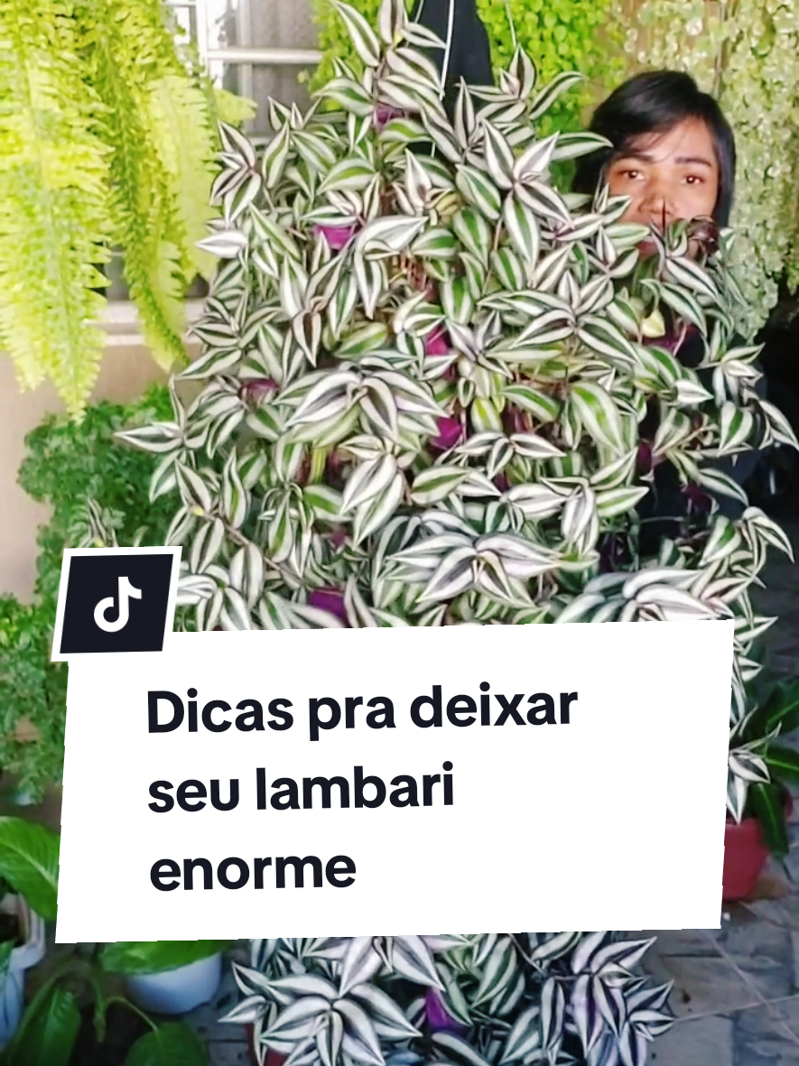 @quintalverde