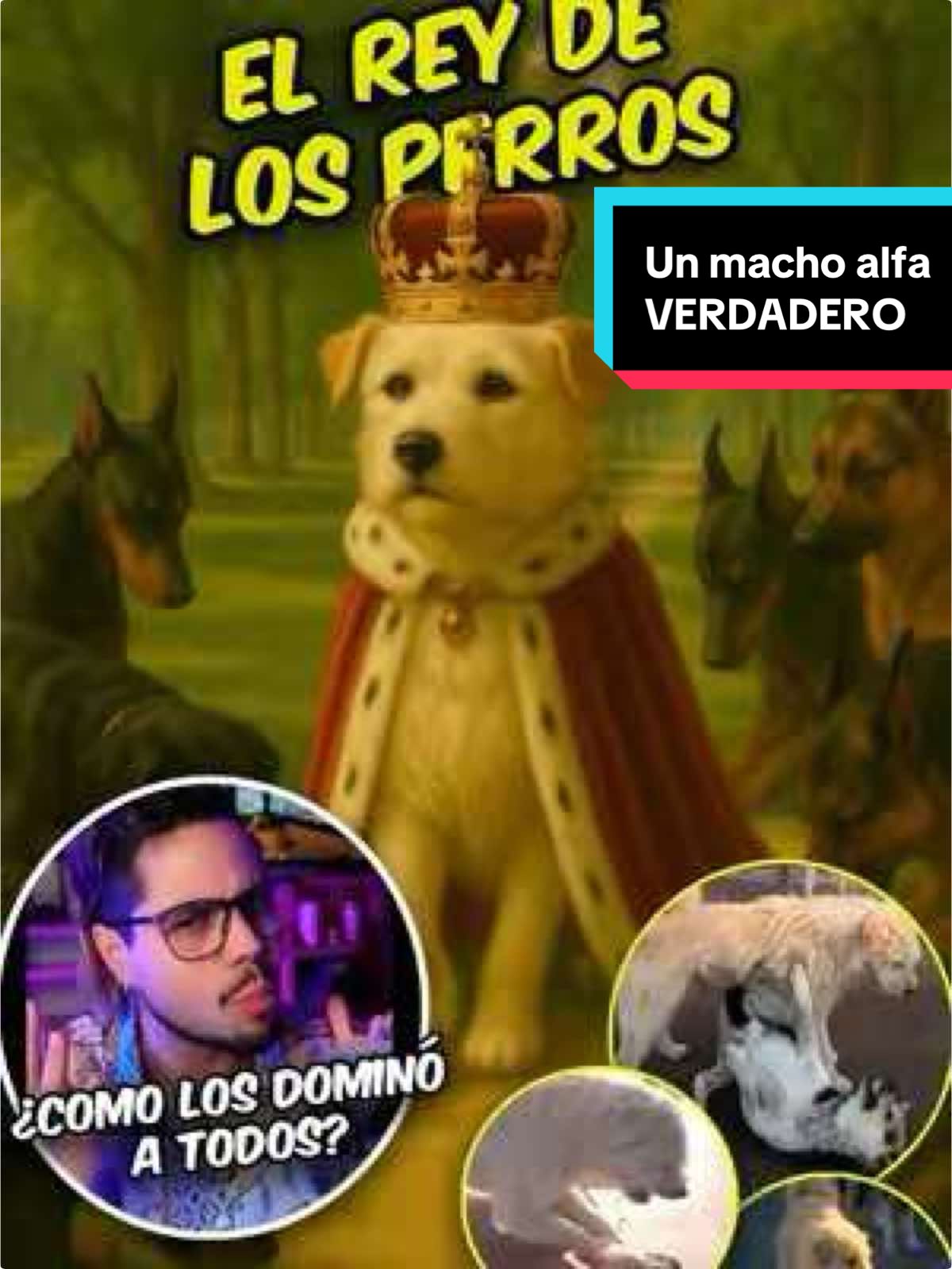 @Manuel Avila