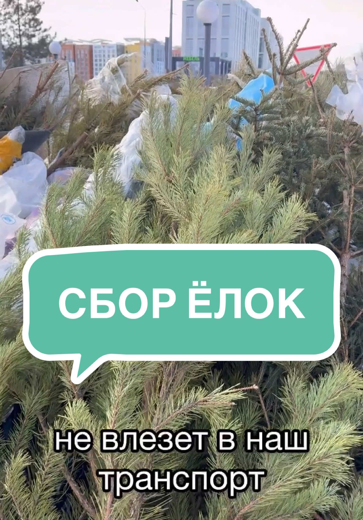 @Aida Alimbekova