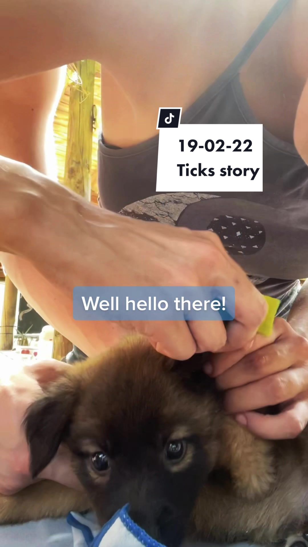 @Rescued stray dog and puppy’s