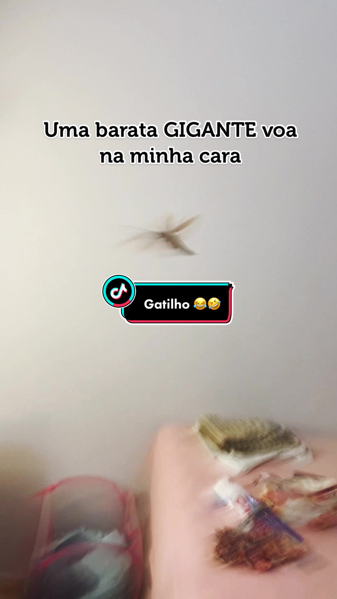 @babcamargo