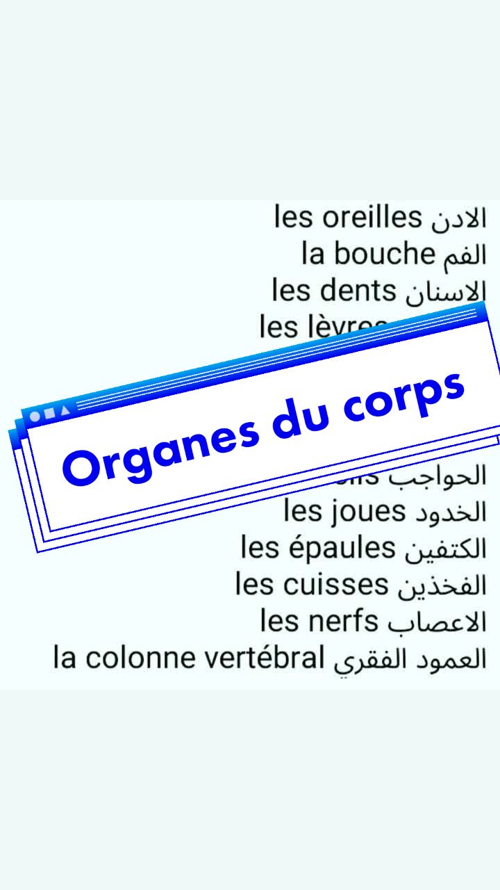 @Kouki_fle