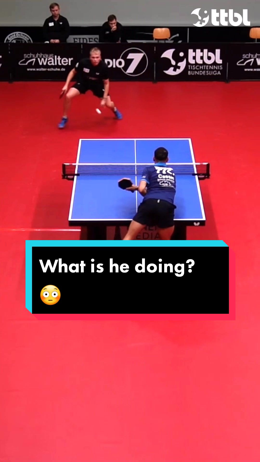 @Tischtennis Bundesliga