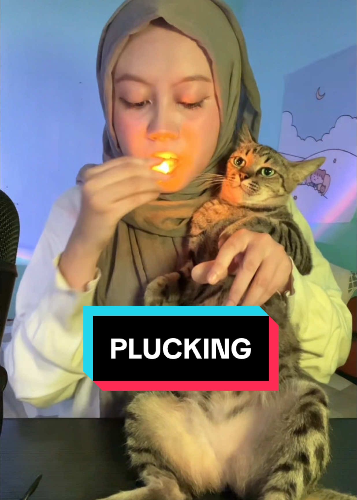 @Salsa ASMR ๐
