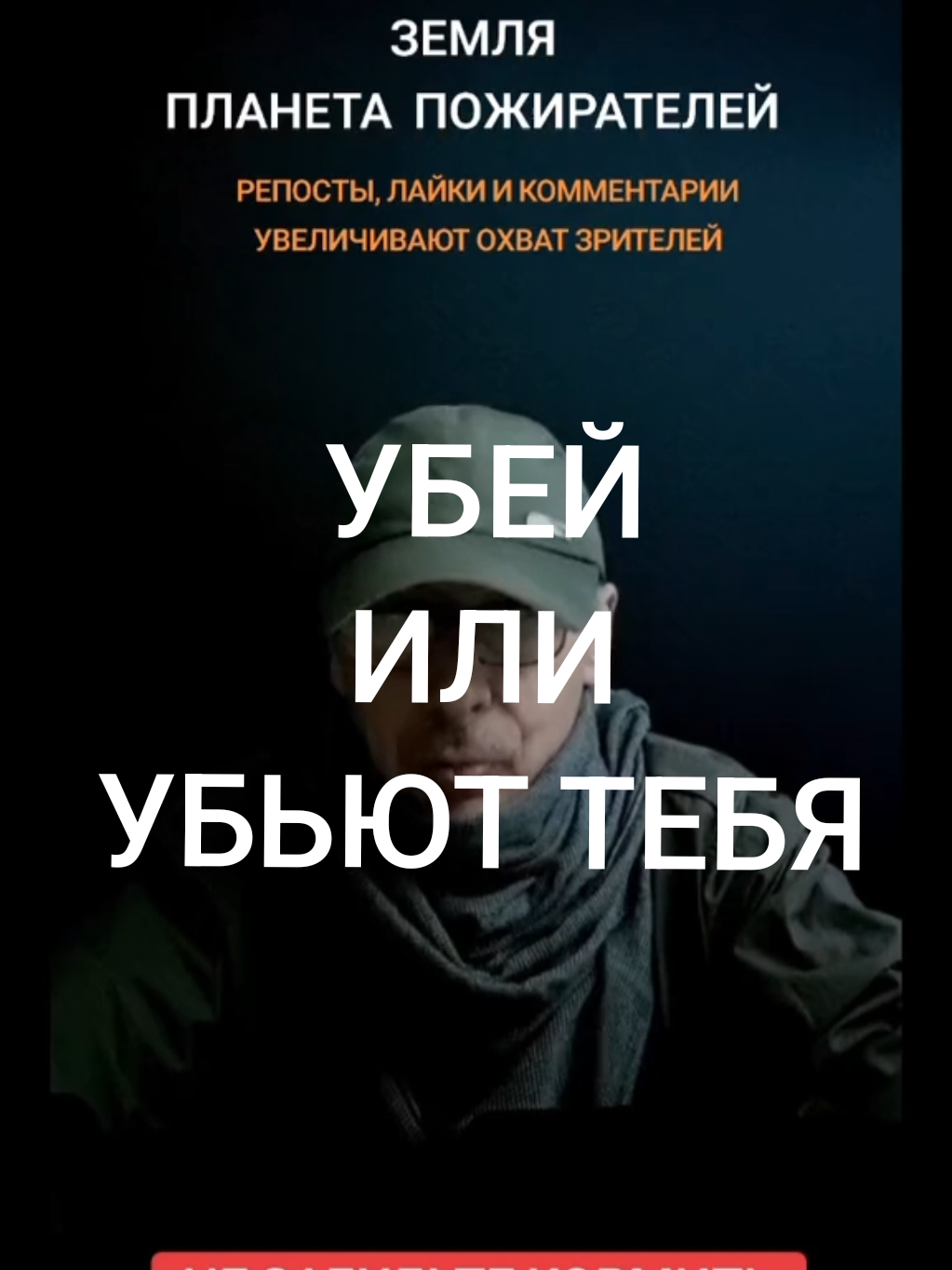 @КОТЫ СОБАКИ И ФИЛОСОФ