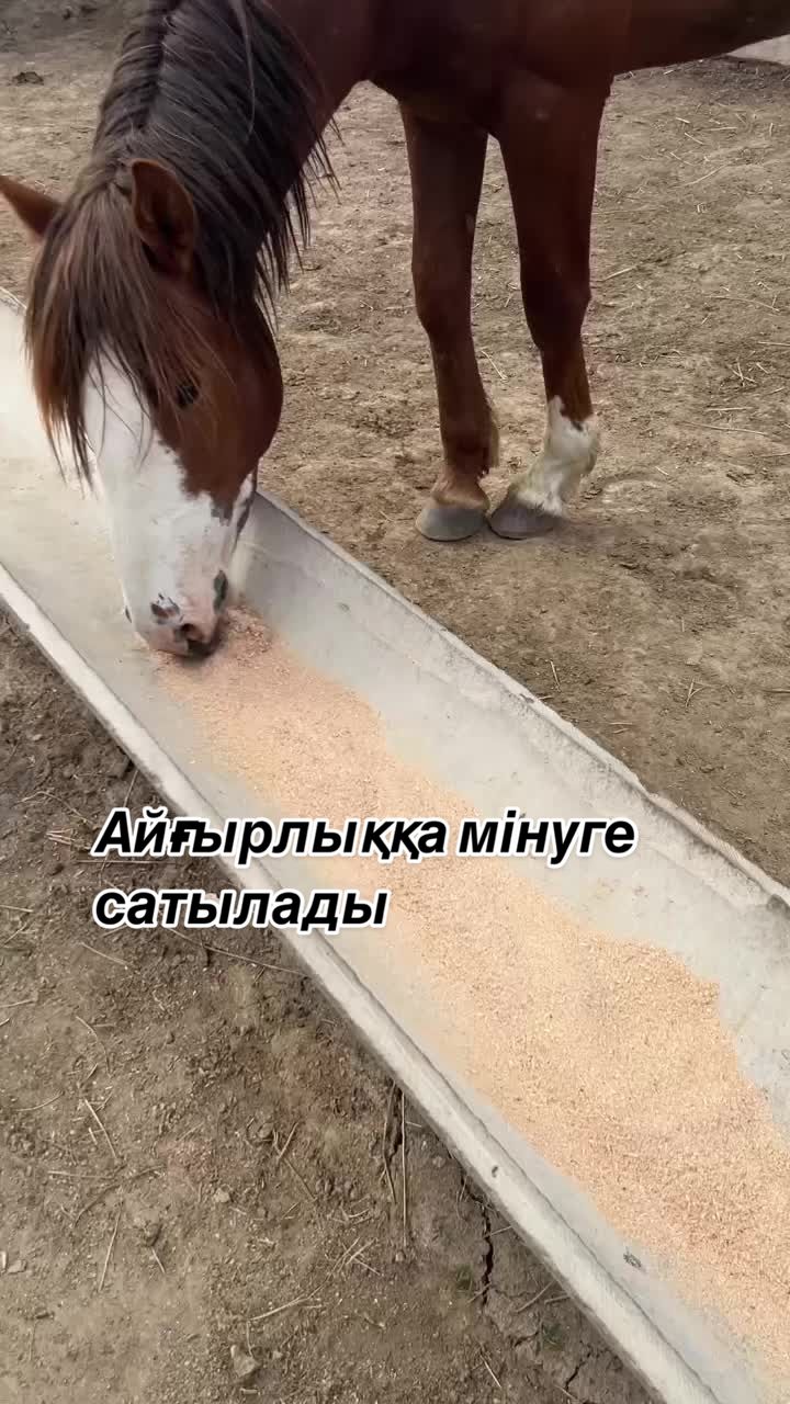@kh_akferma09