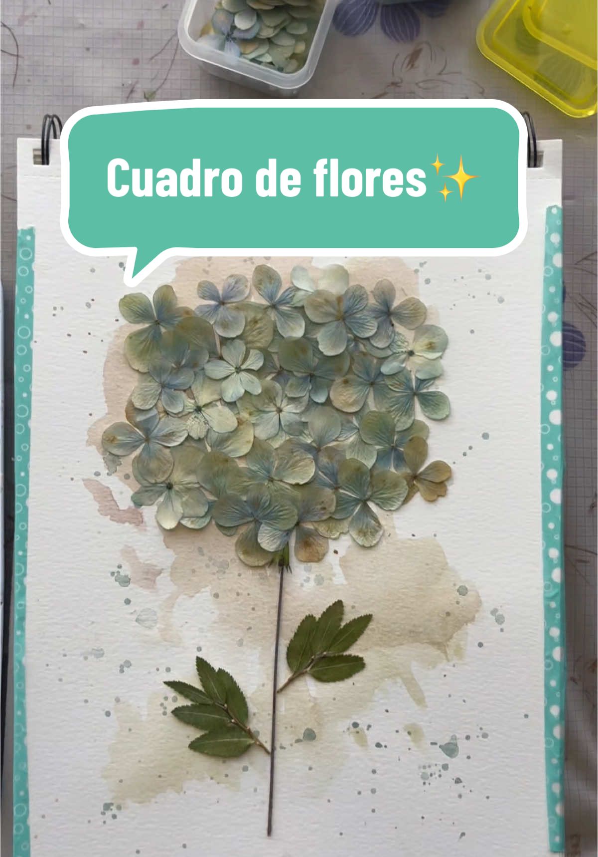 @Anemone