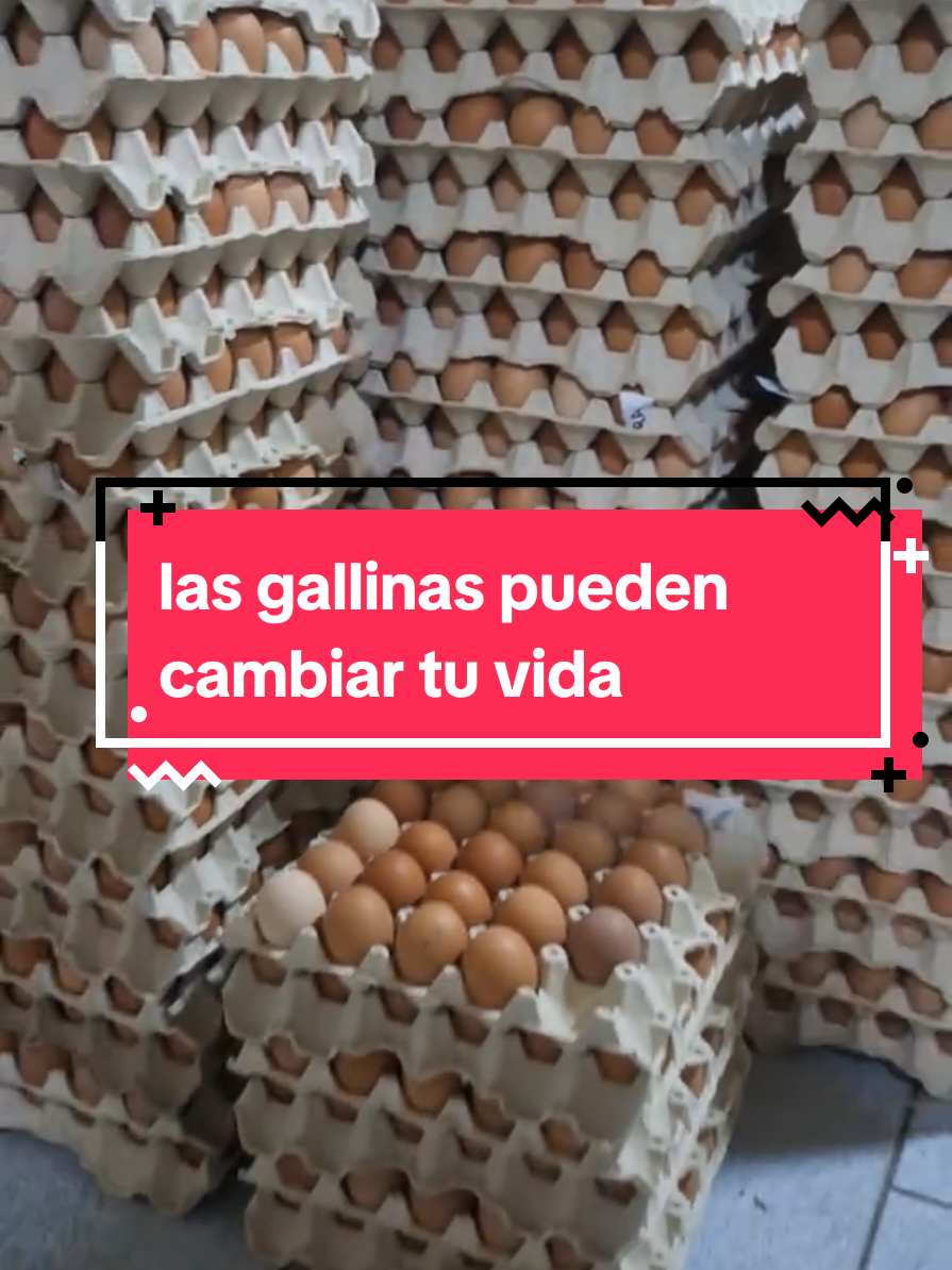 @El Gallinero de Carlos