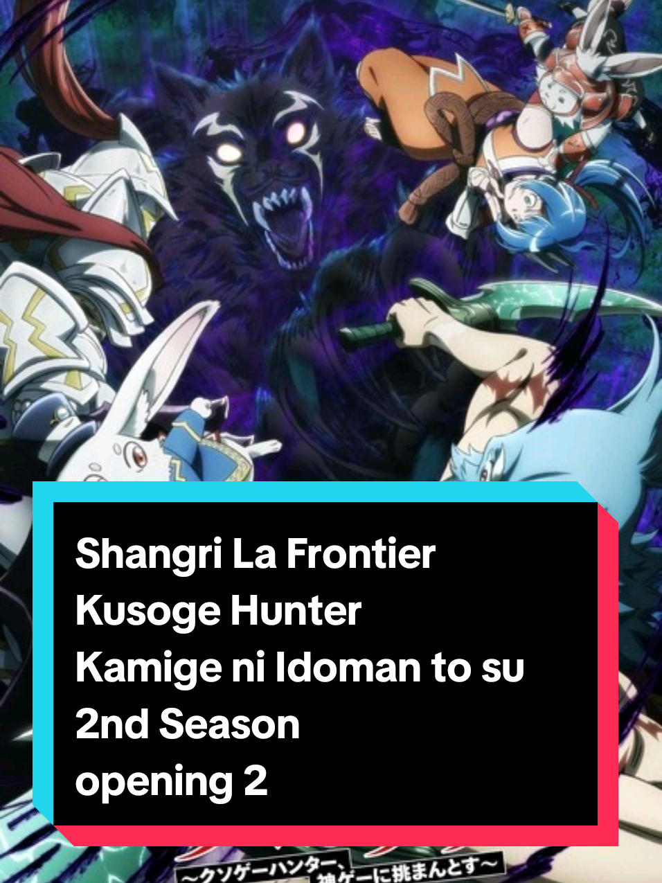 @haku_dono