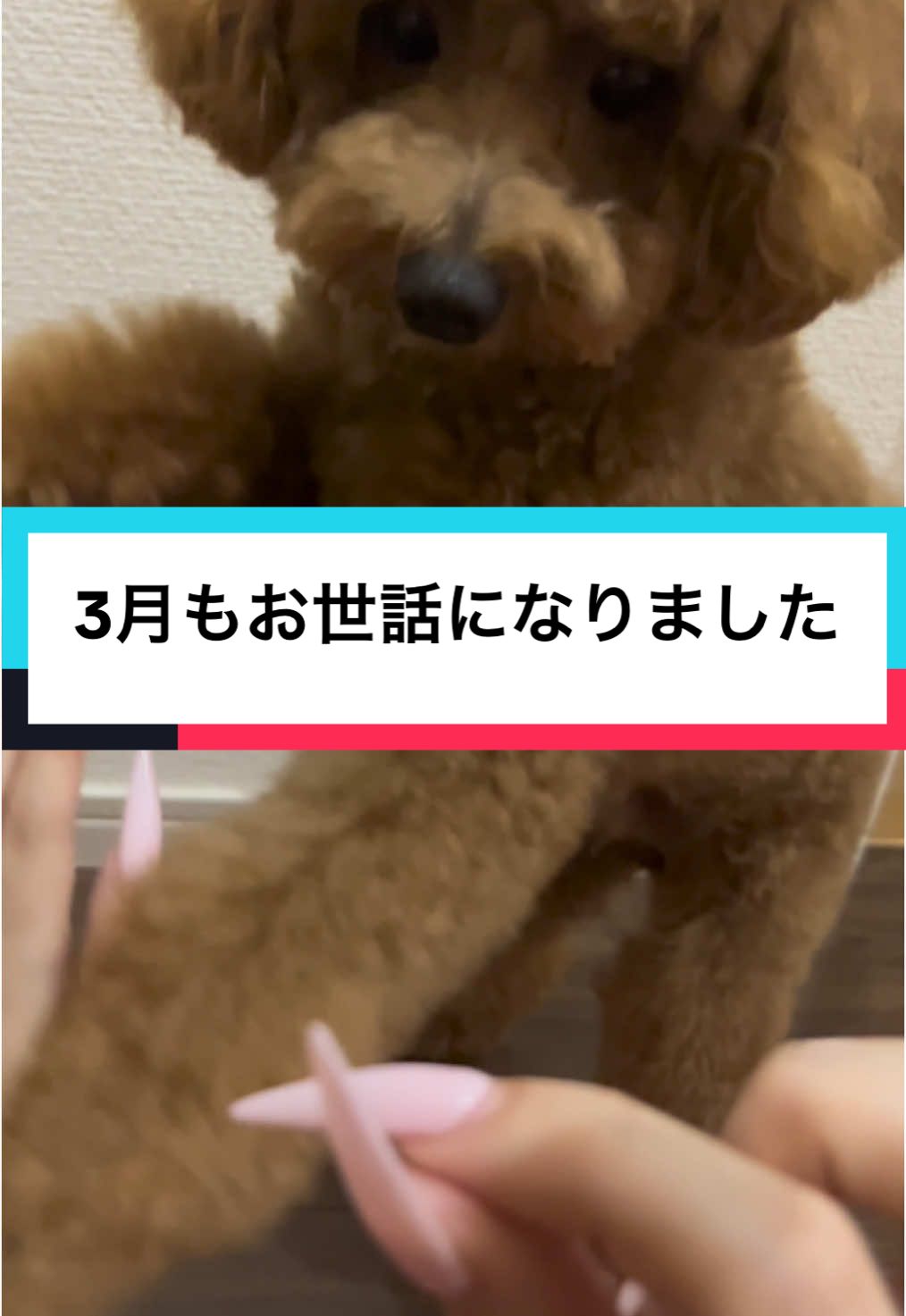 @rio.na1230たゃん