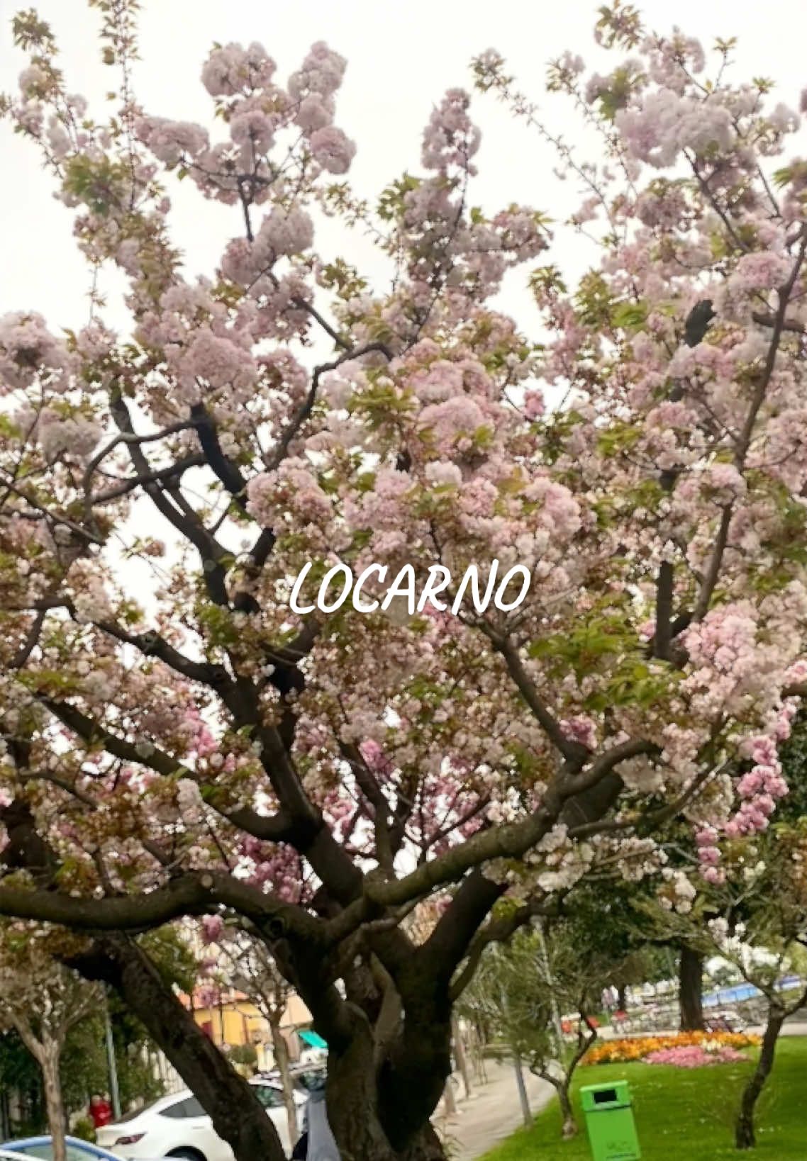 @Go Explore