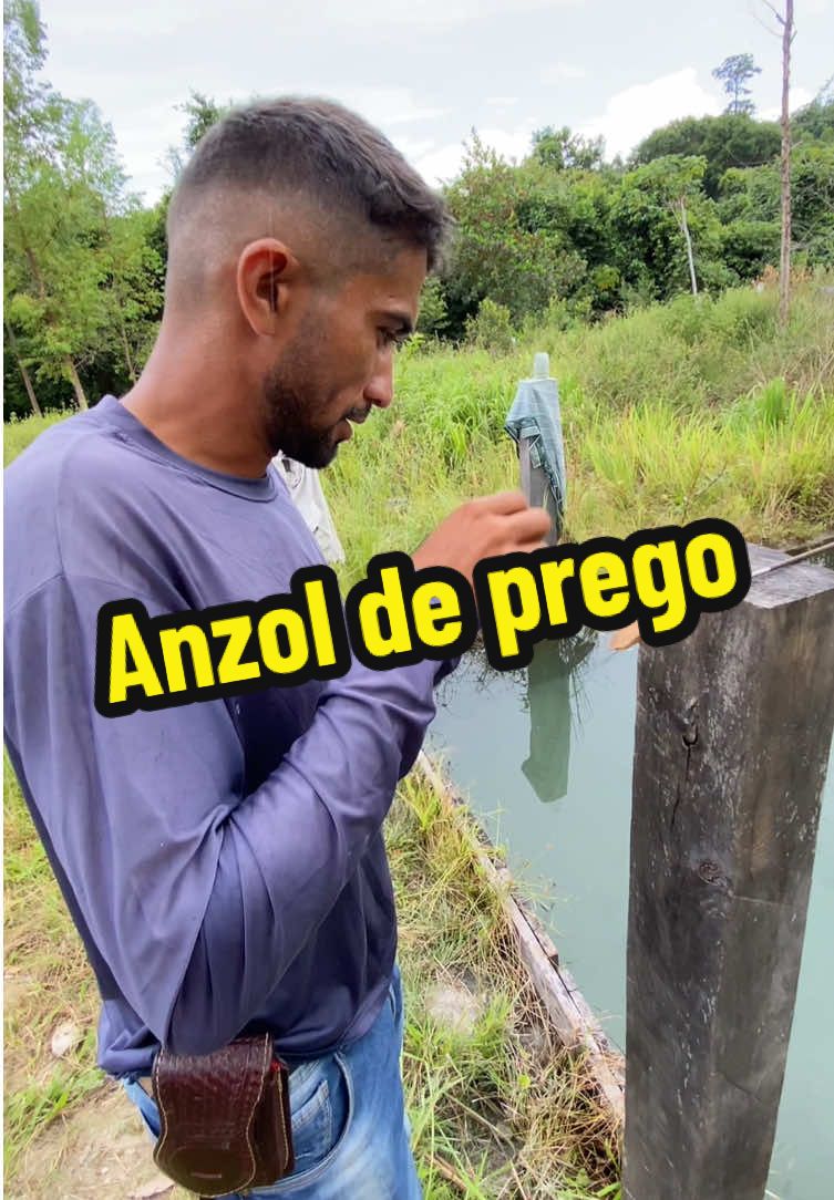 @francimar