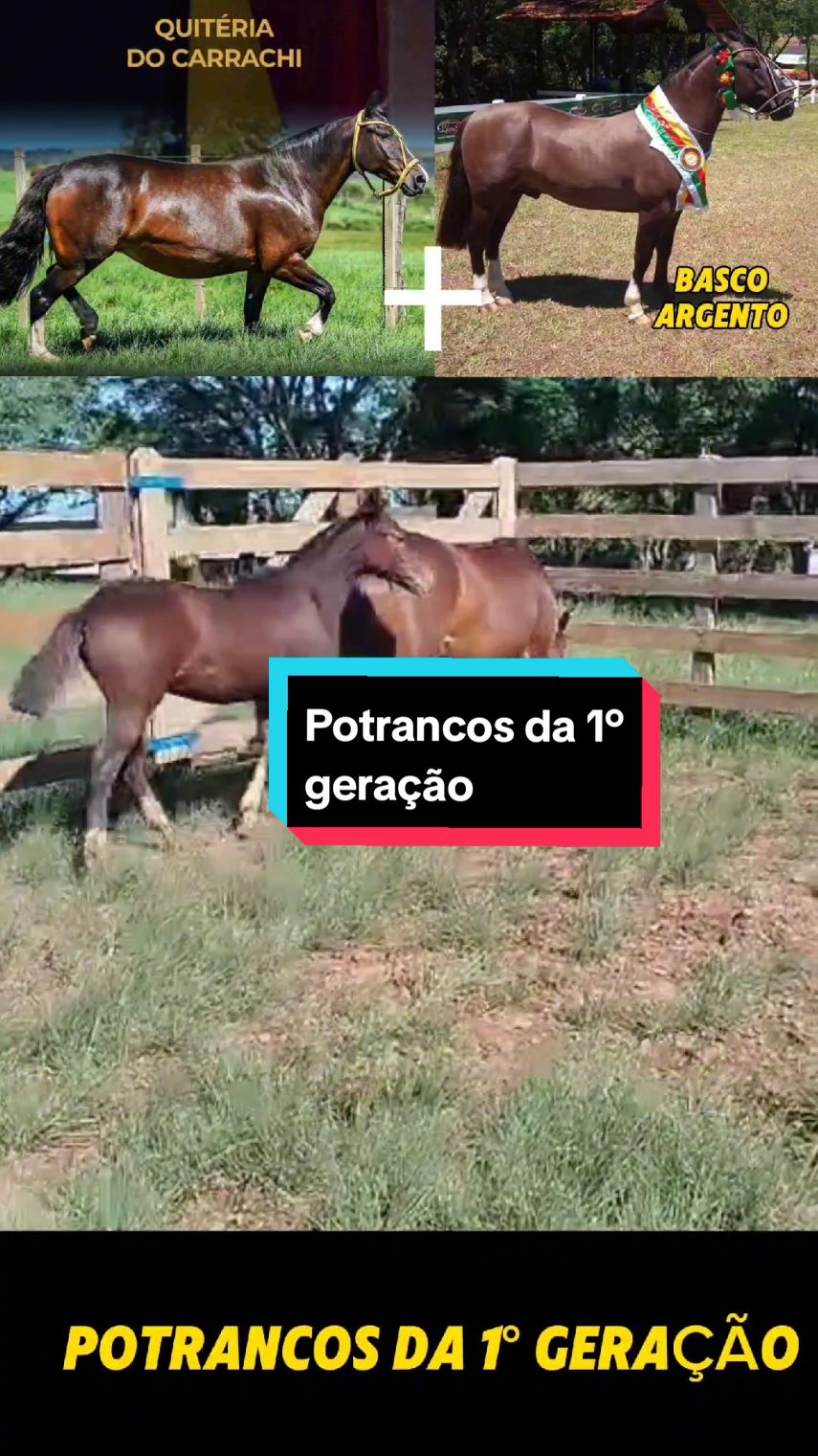 @João Antônio Rupp