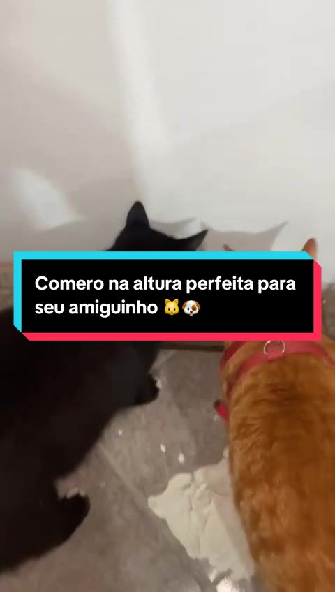 @PromoDoDia