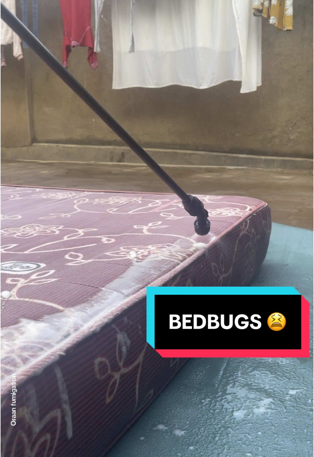 @Oraan Fumigation 🇺🇬