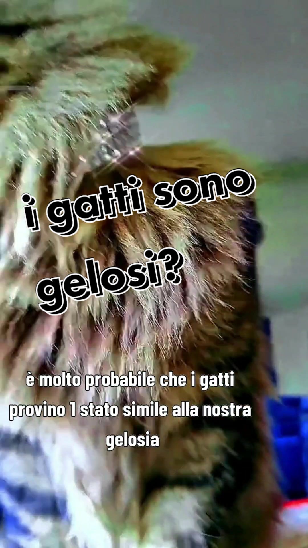 @valter_om