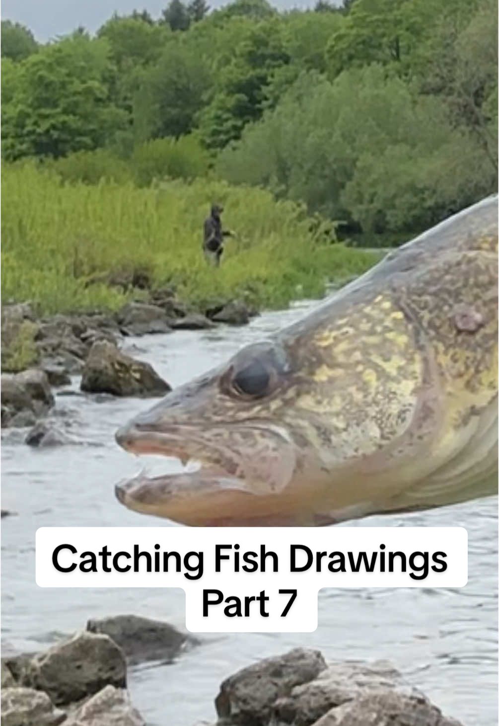@JlangFishing