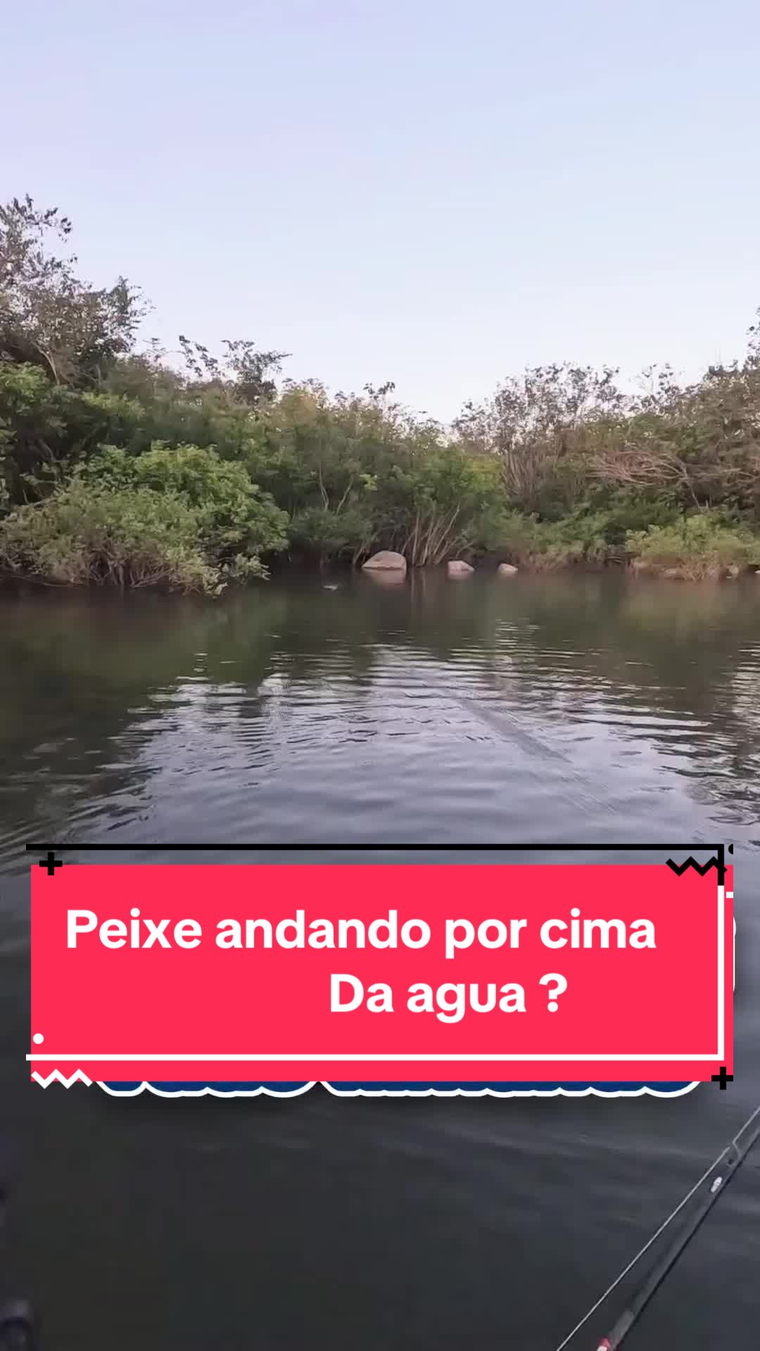 @thiagobombom
