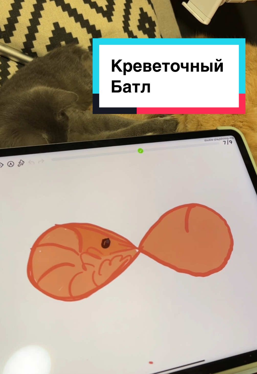 @katya