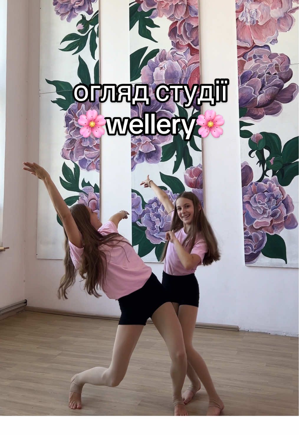 @Wellery Aerial Studio 🌸