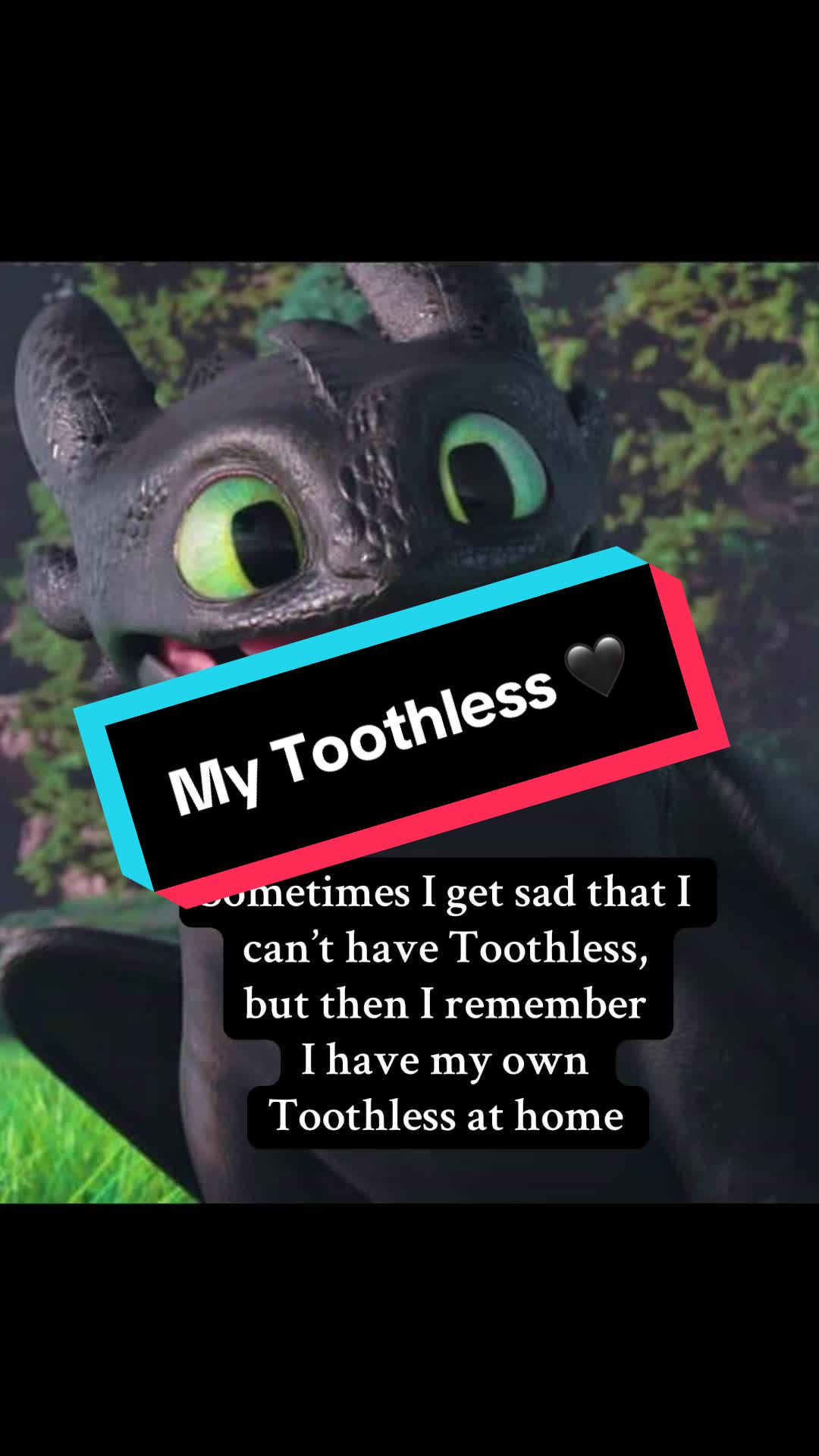 @sarah 🖤