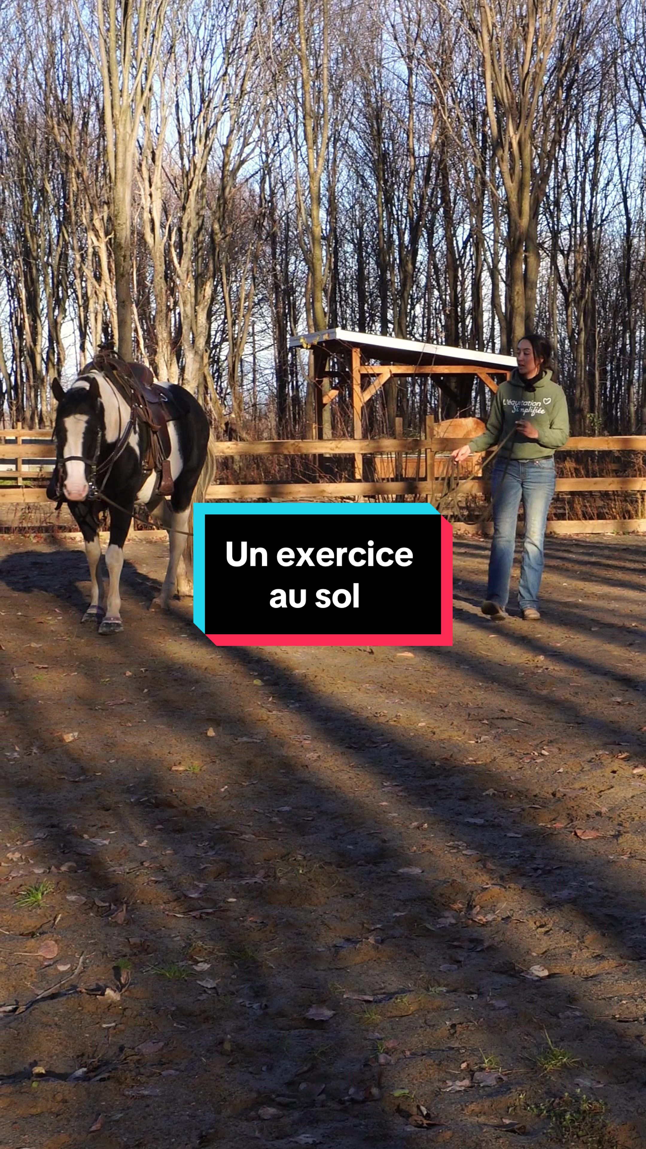 @Rose-alie St-hilaire - Coach🐴