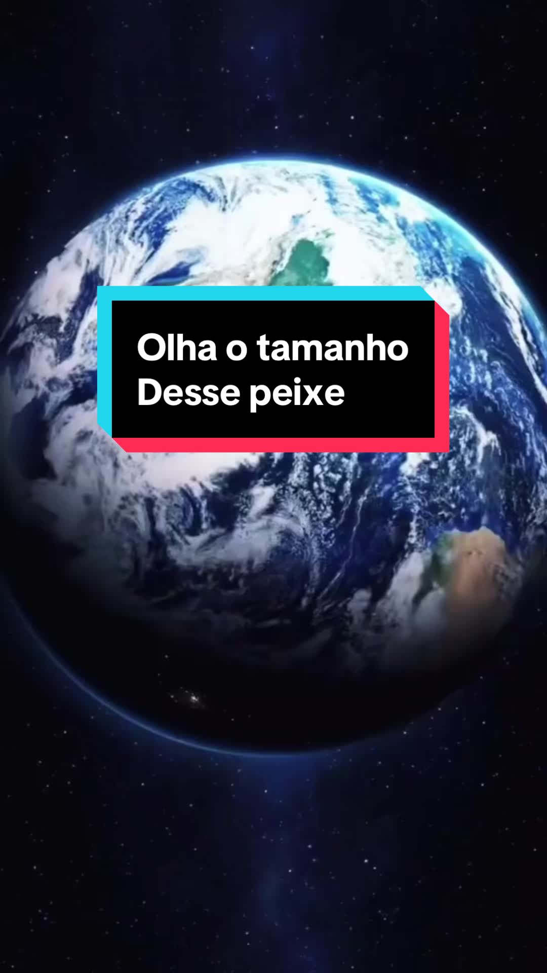 @thiagobombom