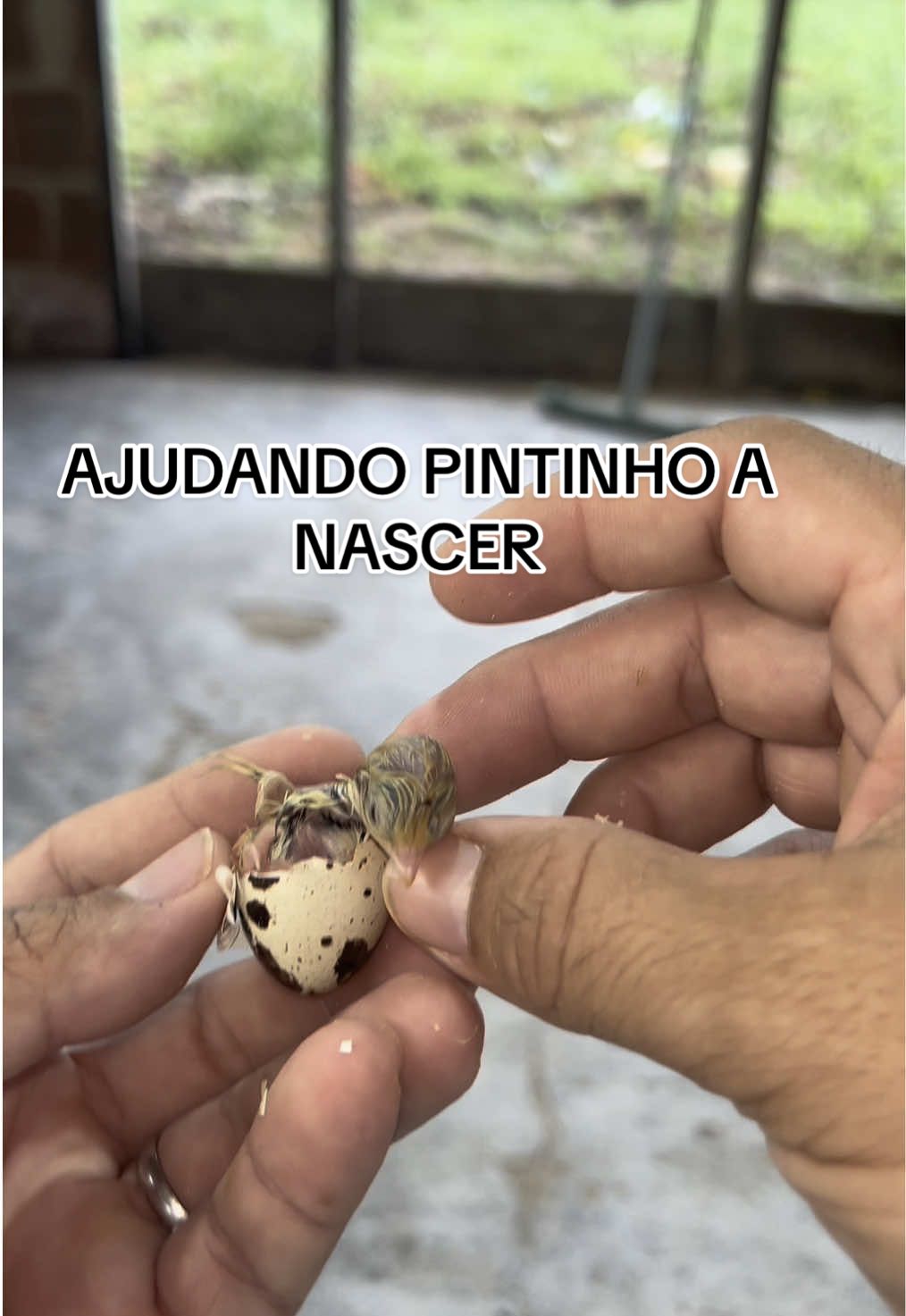 @souza
