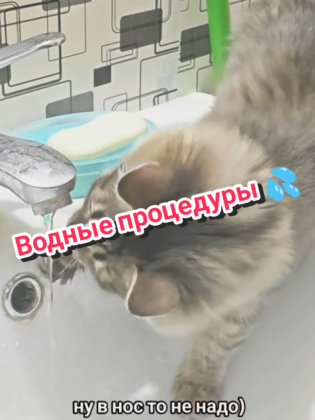 @Баст / Баста / Бася
