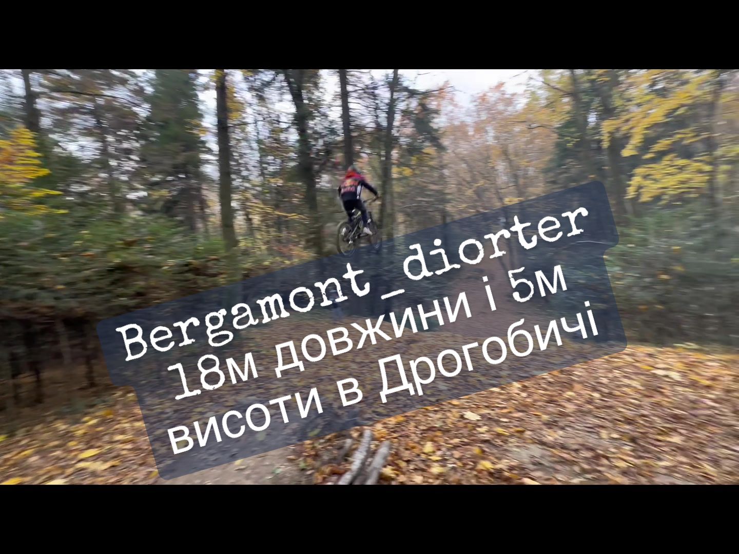 @bergamont_diorter