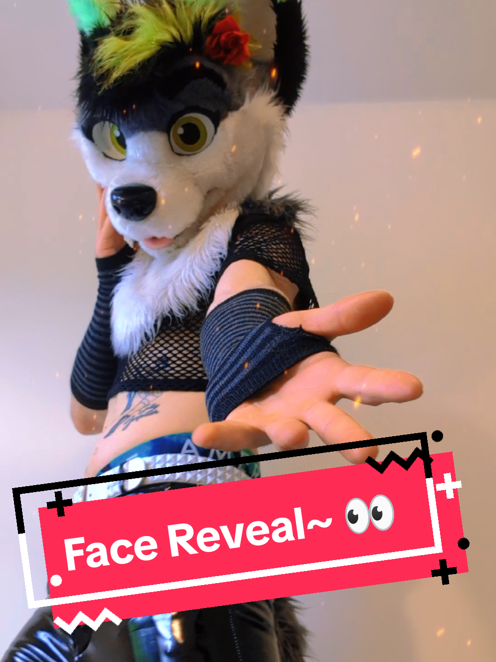 @Firefly Wolfy