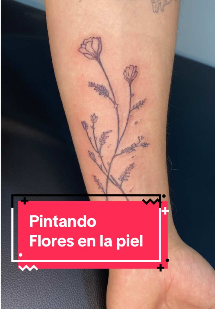 @Fonsseca 🖋️