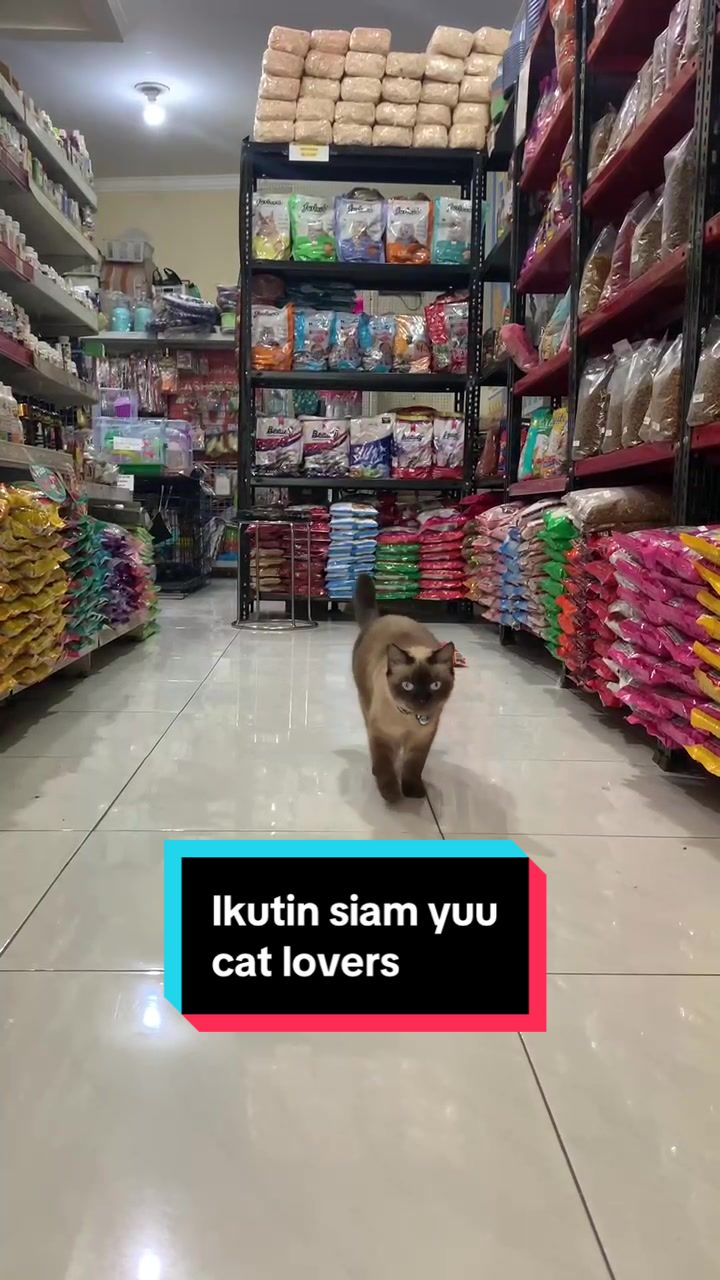 @Petshopgrosir ID-Funny Petshop