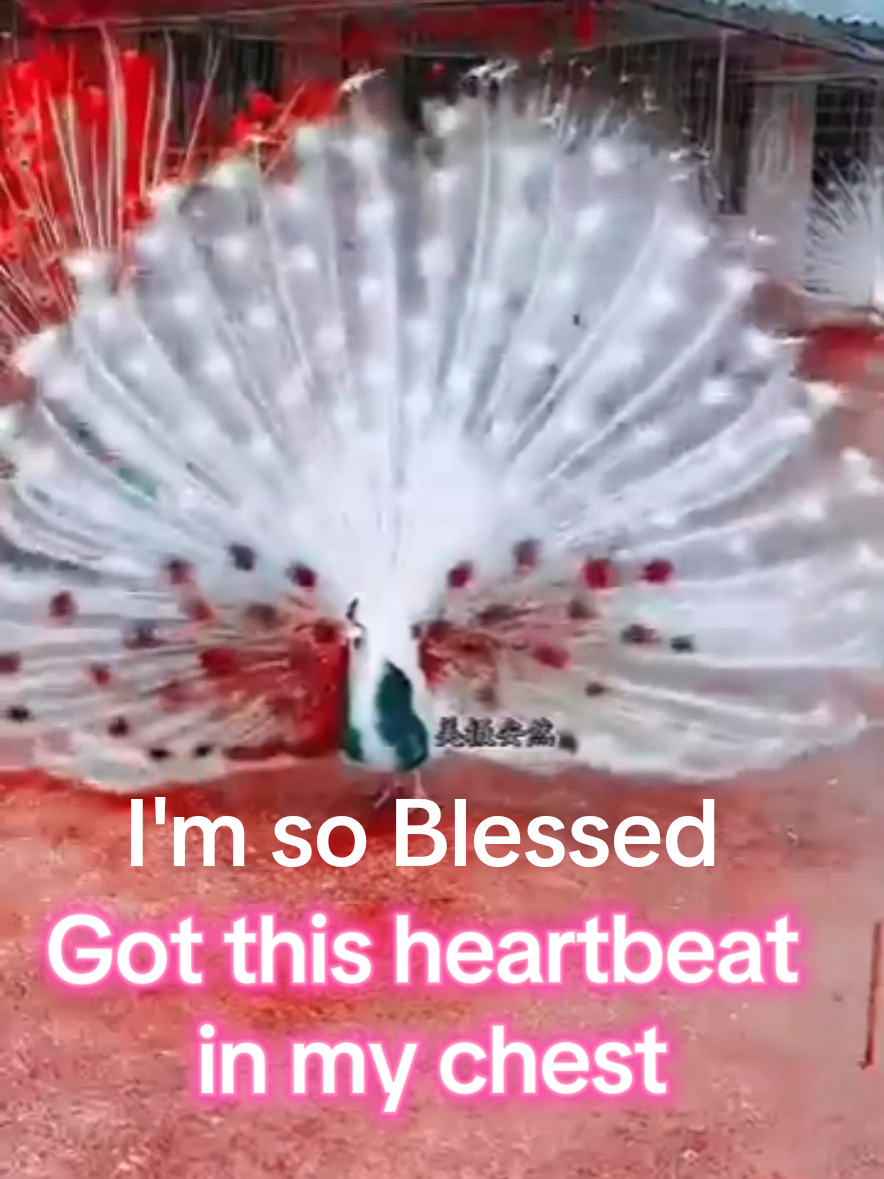 @God's Love