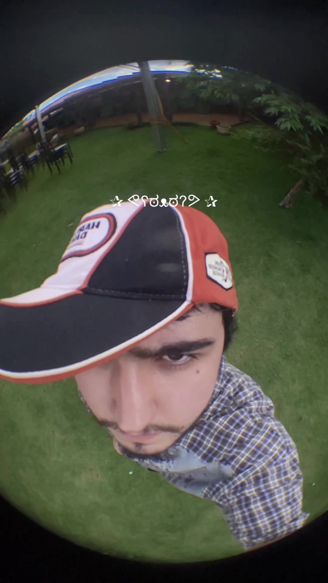 @dragoniteo