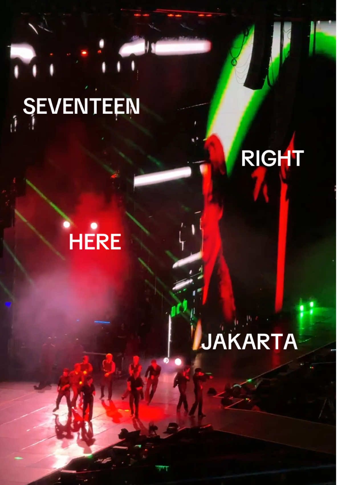 @Pemuja Sayur