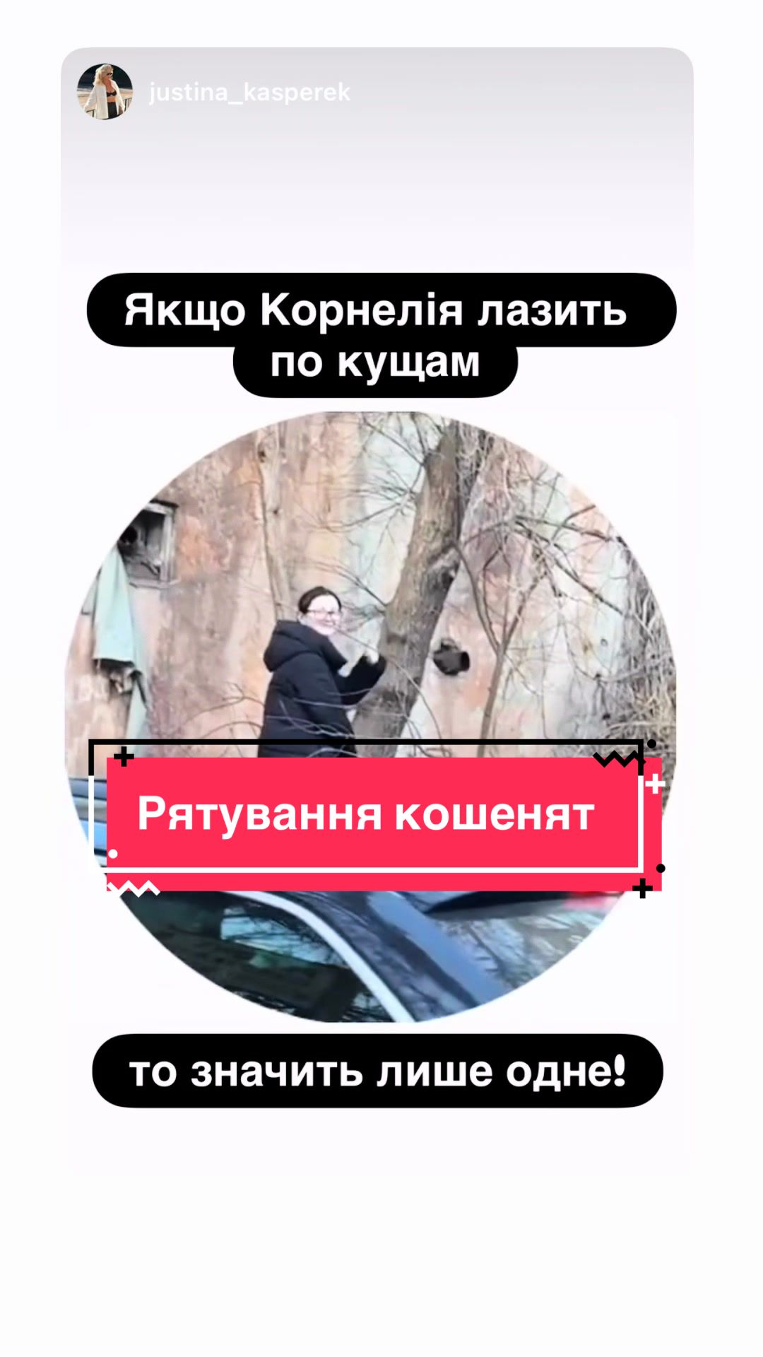 @Корнелія Удовенко