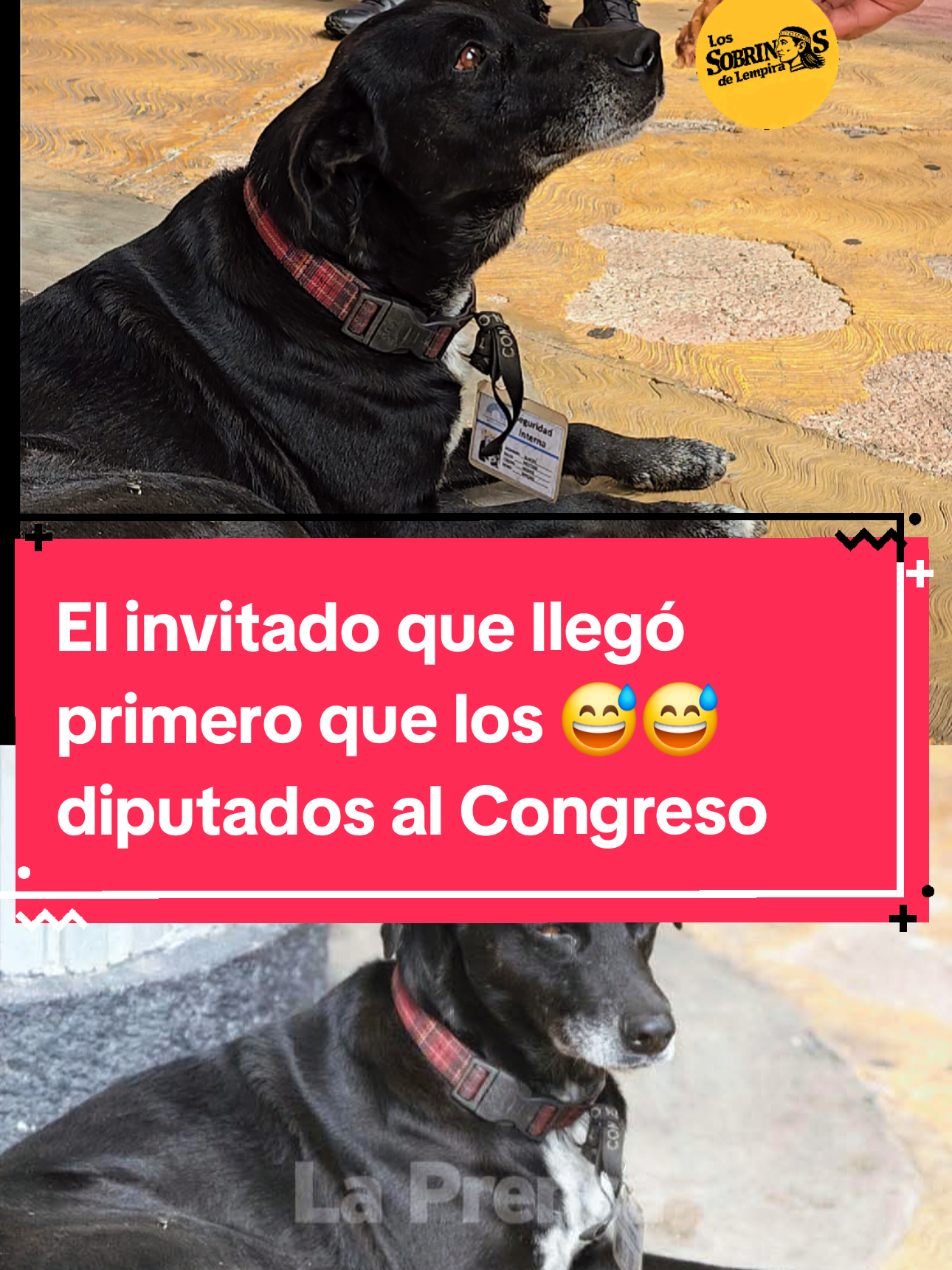 @Los Sobrinos de Lempira