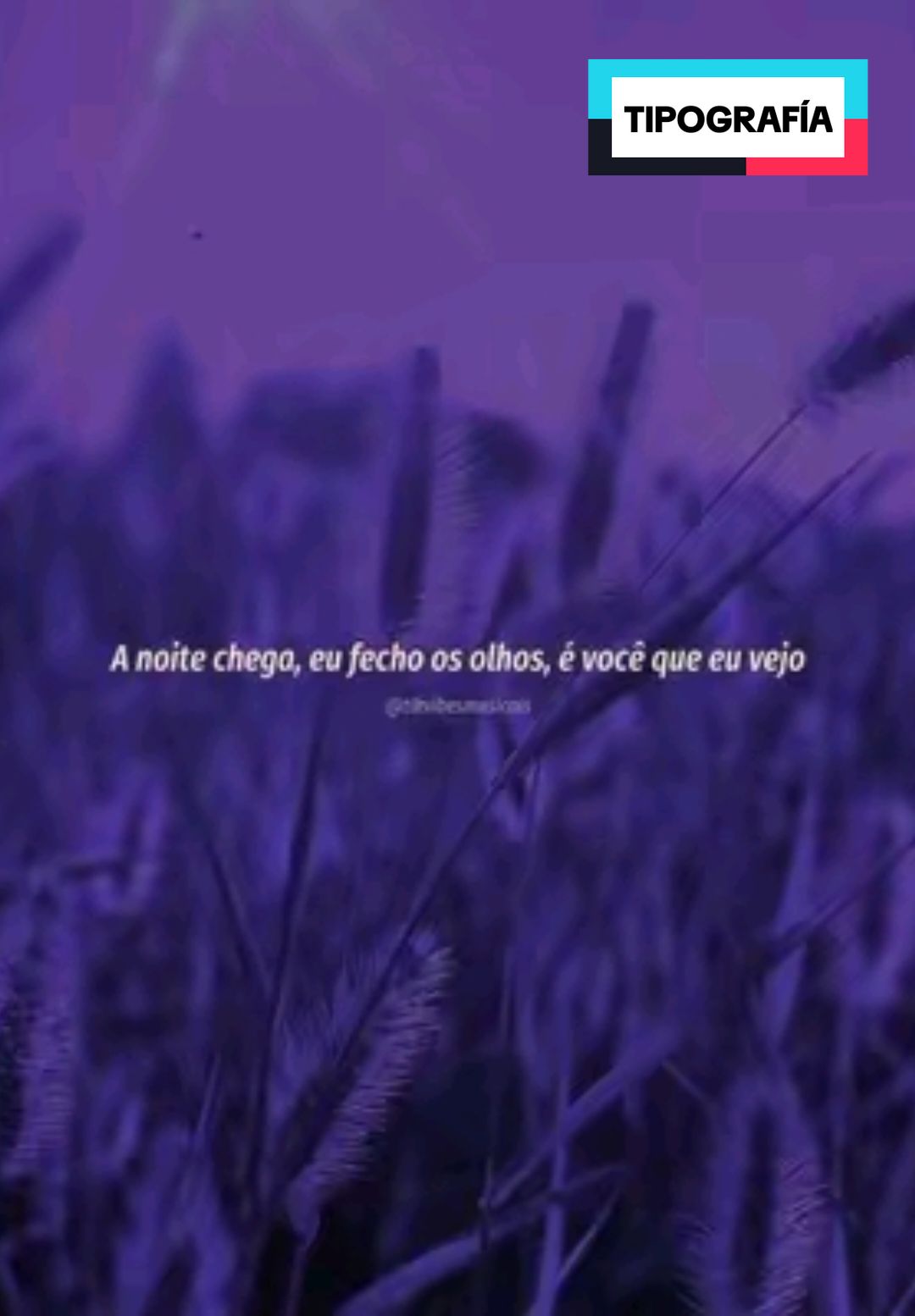 @Tik Vibes