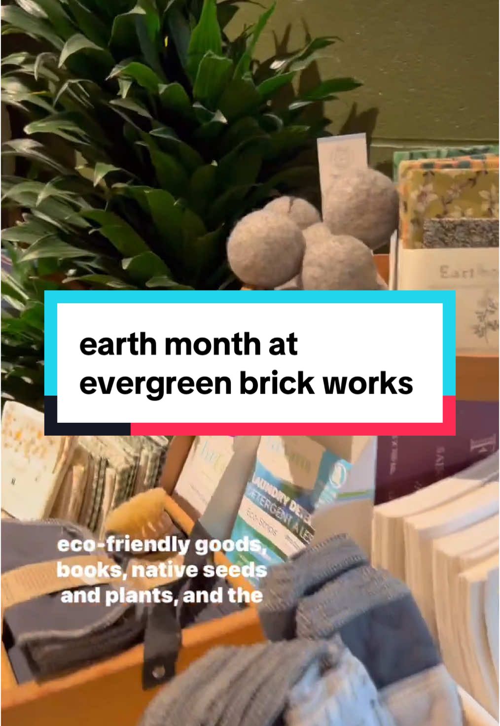 @SRB 🌱