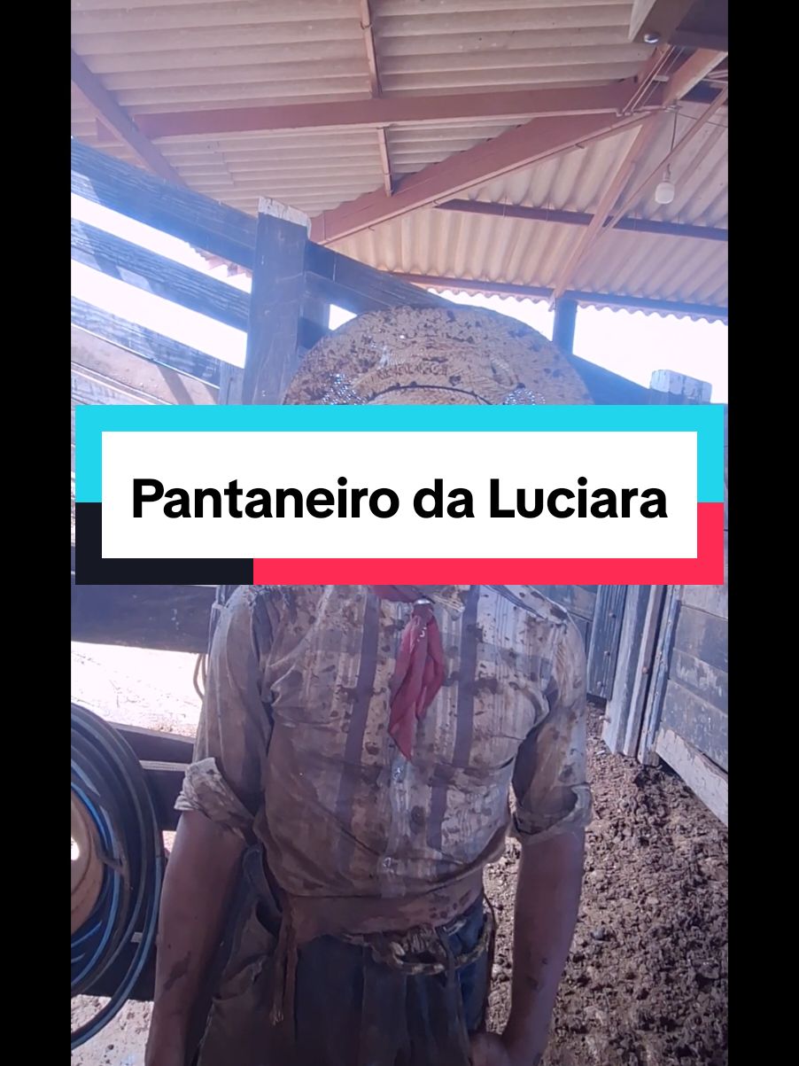 @Fabinho de Lima