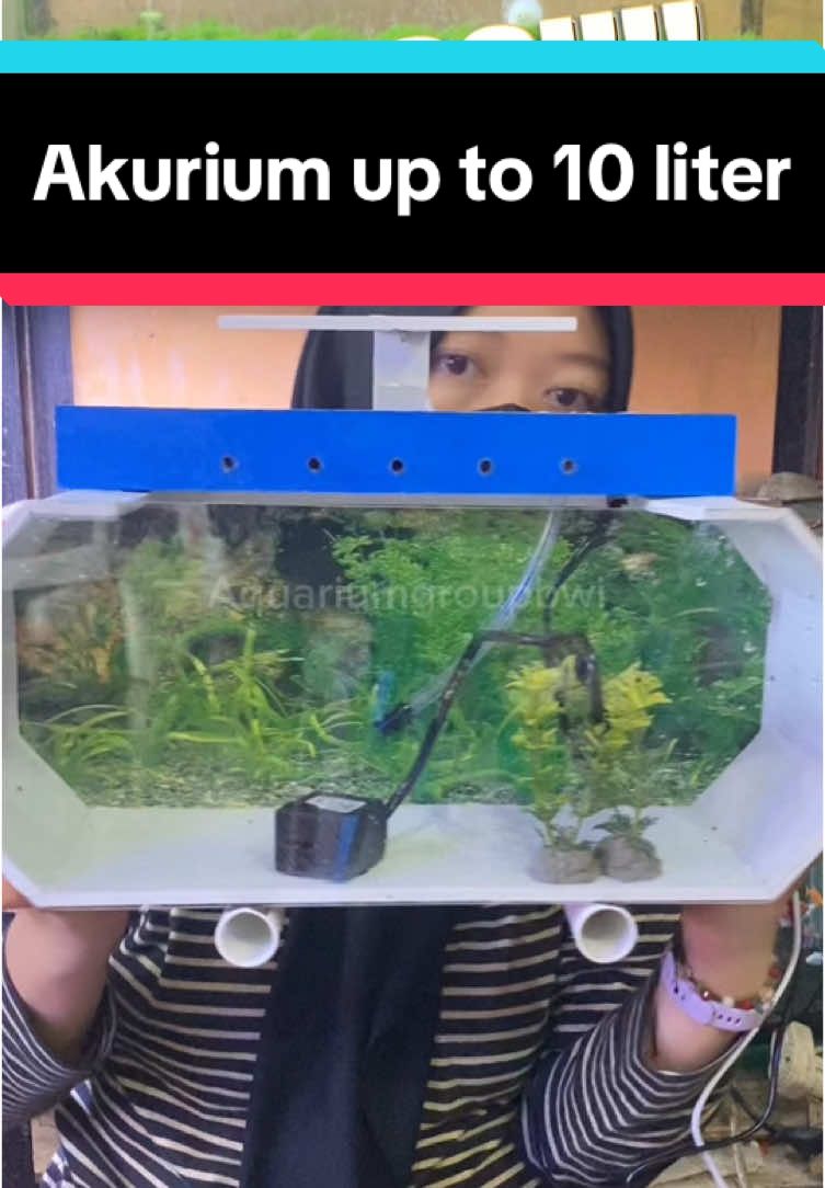 @Aquarium_group