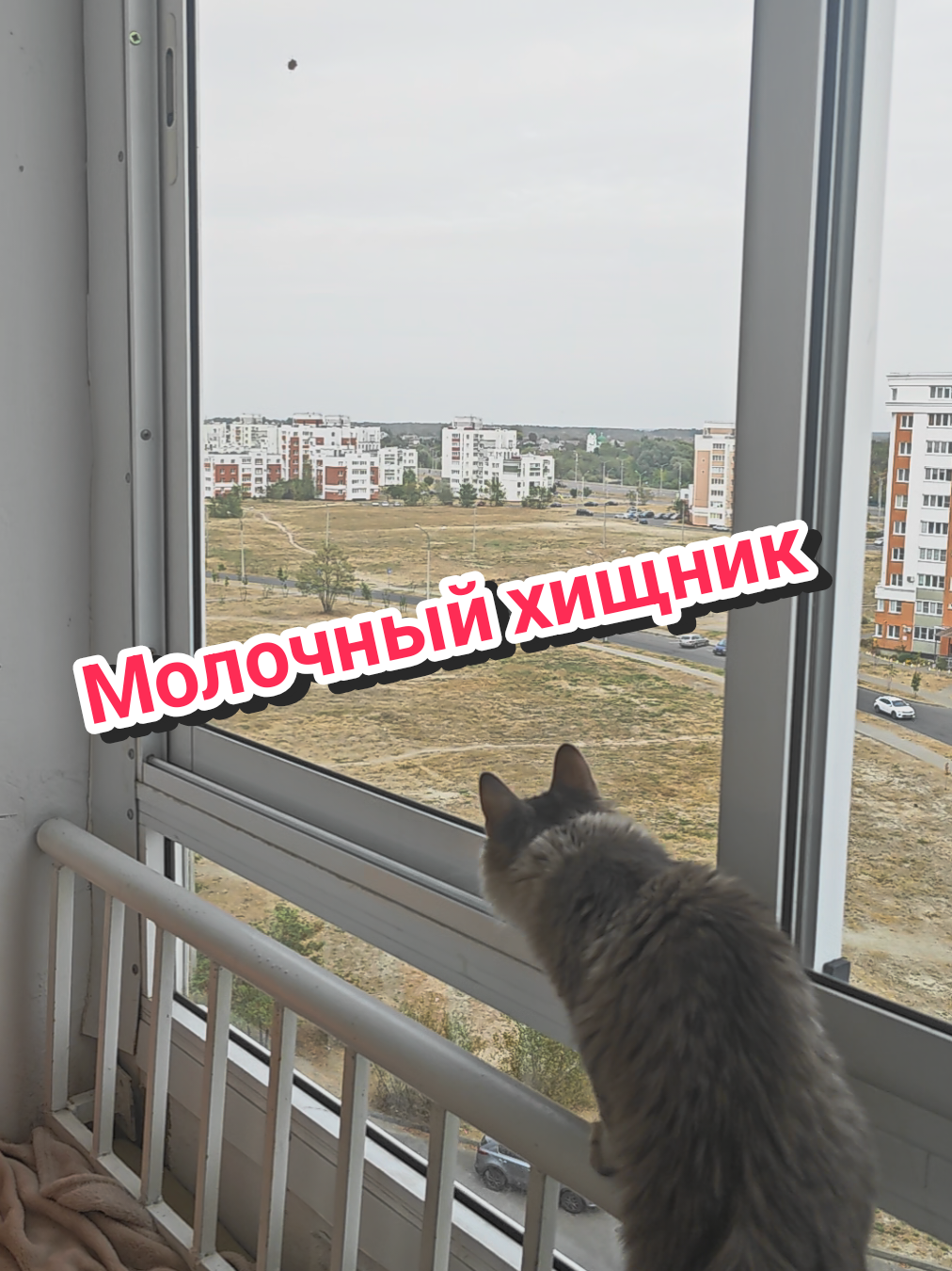 @Баст / Баста / Бася