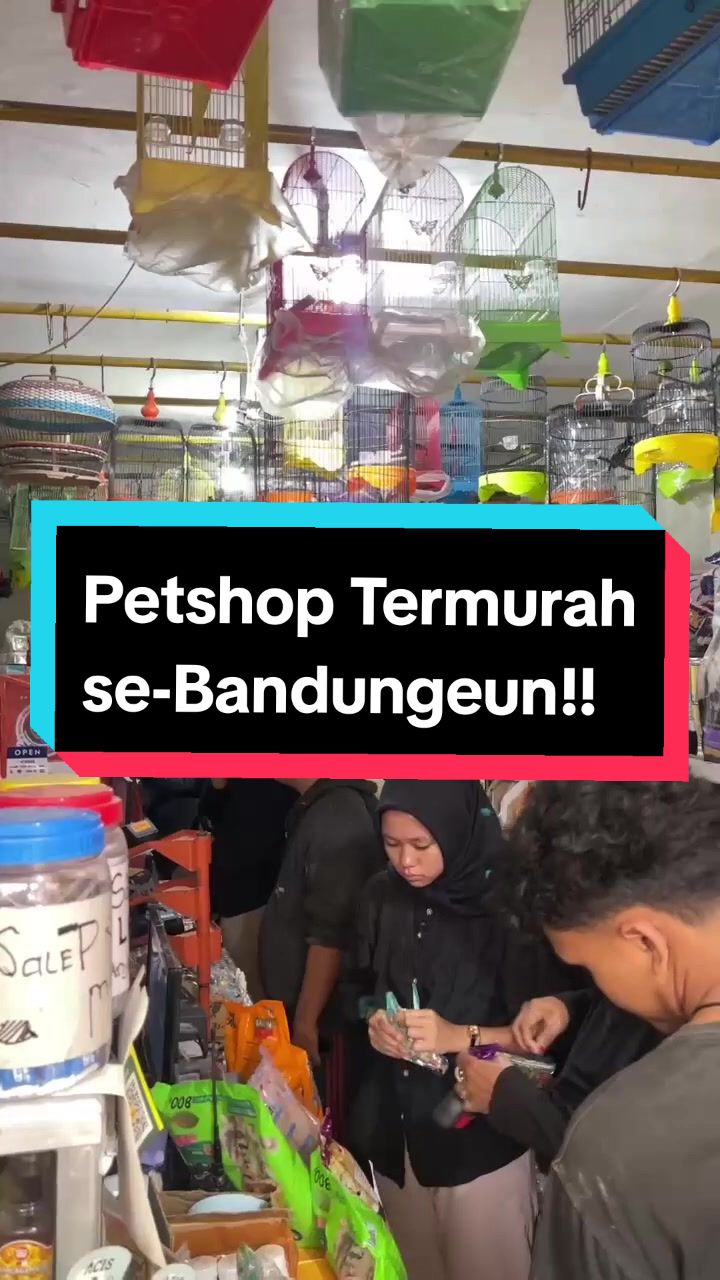 @bejo petmart