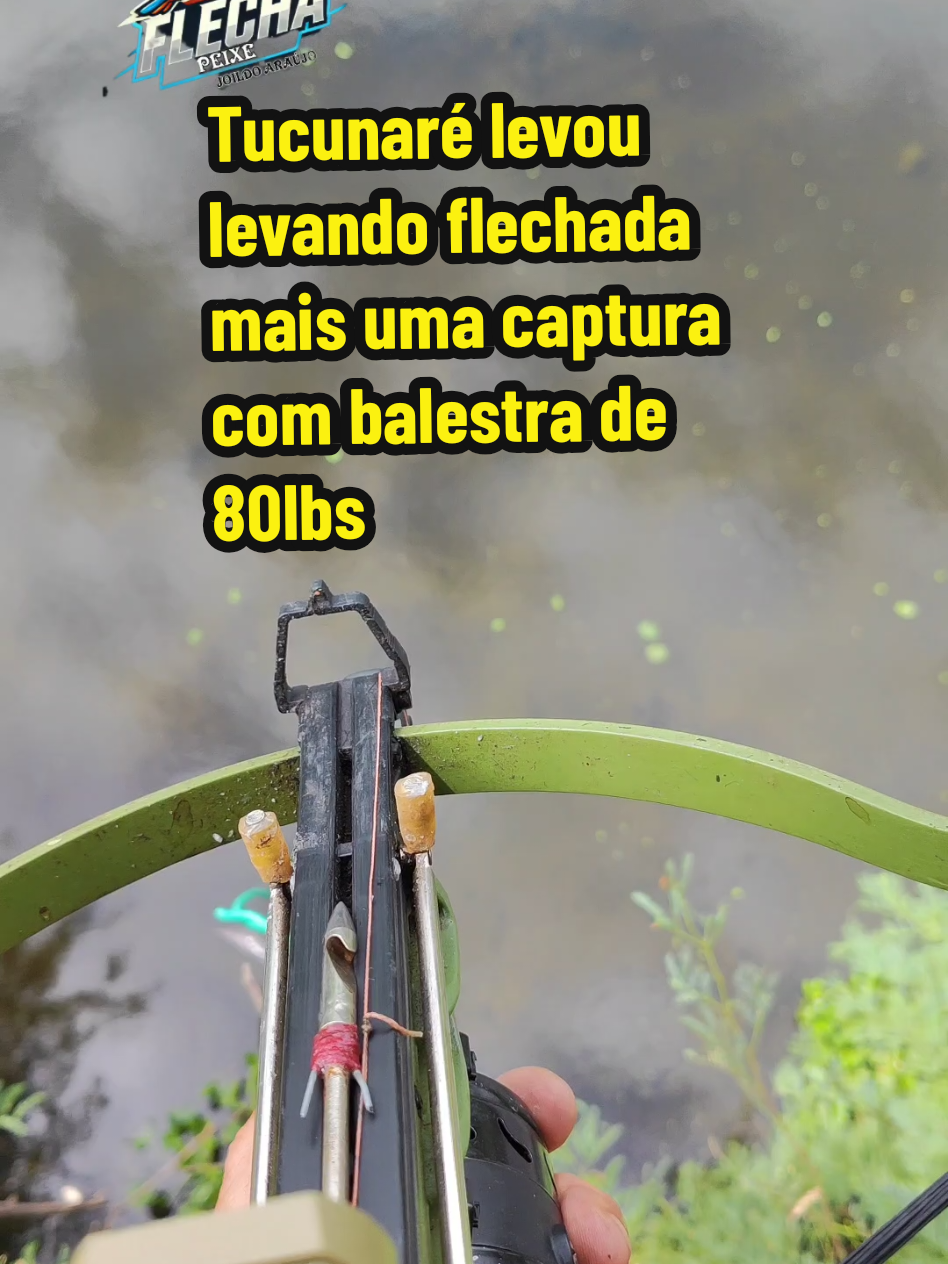 @Joildo Araujo