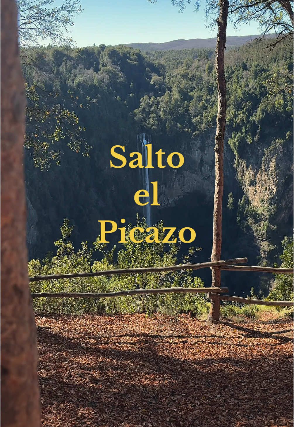 @Sebastian Moreno🏕️
