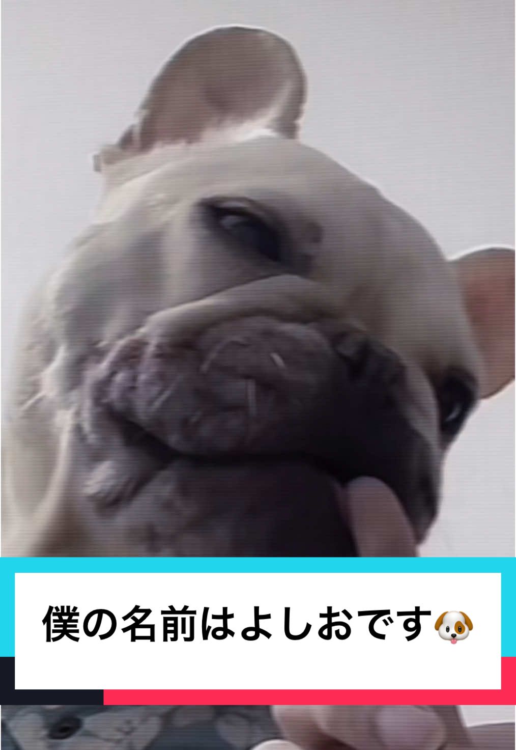 @rio.na1230たゃん