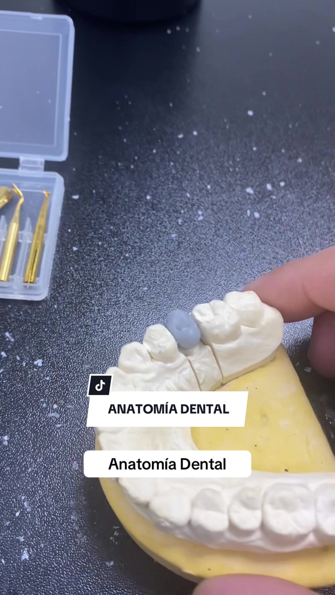 @dr.samuelsanjuan
